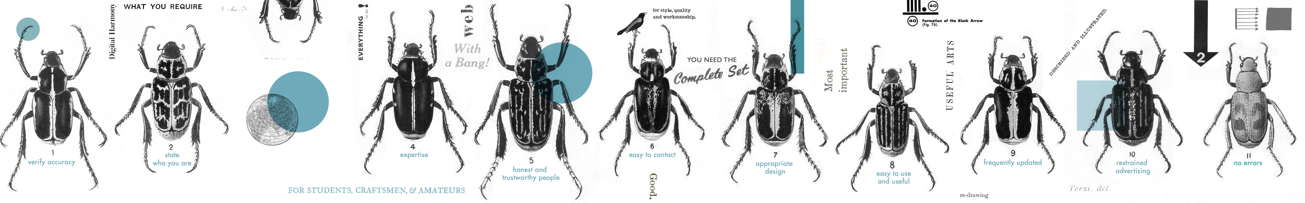 Web credibility